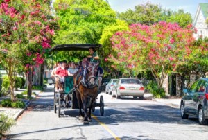 ClassicCarriage-Slider 15_500